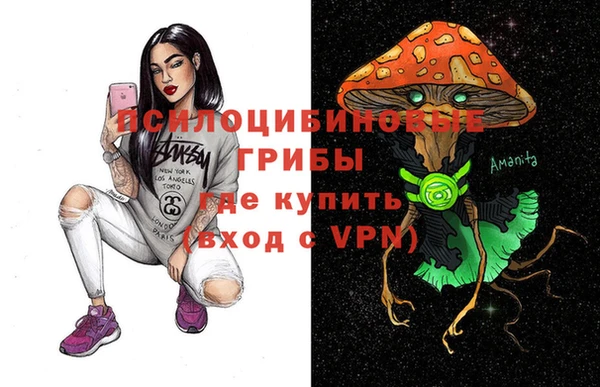 винт Арсеньев