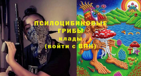 винт Арсеньев