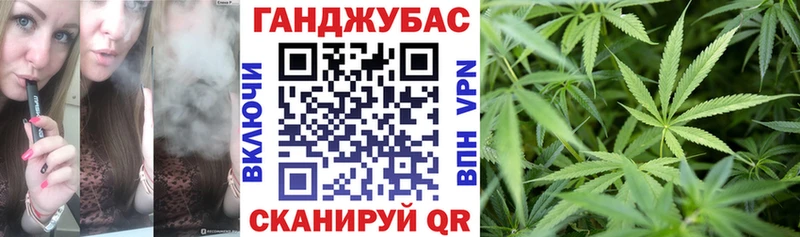 Бошки марихуана план  где найти   Суздаль 
